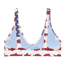 Load image into Gallery viewer, Fish Flag Recycled padded bikini top
