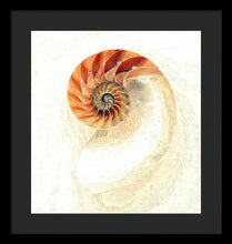 Load image into Gallery viewer, Nautilus - Framed Print