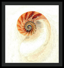 Load image into Gallery viewer, Nautilus - Framed Print
