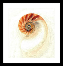 Load image into Gallery viewer, Nautilus - Framed Print