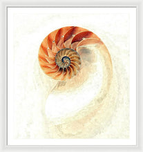 Load image into Gallery viewer, Nautilus - Framed Print