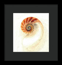 Load image into Gallery viewer, Nautilus - Framed Print