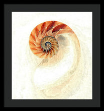Load image into Gallery viewer, Nautilus - Framed Print