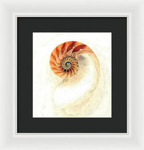 Load image into Gallery viewer, Nautilus - Framed Print
