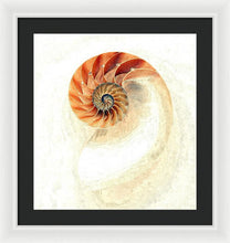 Load image into Gallery viewer, Nautilus - Framed Print